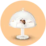 Teşhir Ekipmanları