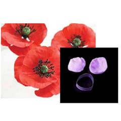 Beysa FVC22 Silikon ve Metal Çiçek Yapım Seti - Beysa