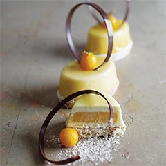 Beysa Silikon Petifür Kalıbı, Oval, 40x60 cm - 2