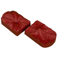 Beysa Yaprak Silikon Şeker Hamuru Kalıbı, No 78 - Beysa