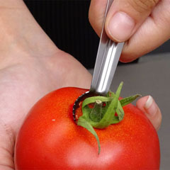 Cancan Tomato Spoon - Cancan