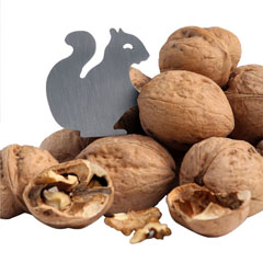Cancan Walnut Opener - 1
