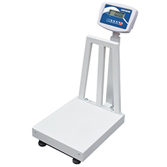 Desis B5 Electronic Weighing Scale, 70x80 cm Platform, 600 kg, 50 g Precision - Desis