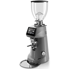 Fiorenzato F83 E Coffee Grinder, Gray - Fiorenzato