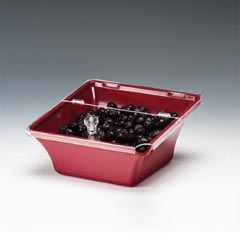 Zicco Kapaklı Zeytinlik, 22x22x8-11 cm - 1