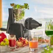 Lurch Cold Press Fruit and Vegetable Juicer - 8