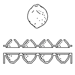 Pavoni AF006S Citrons Cedric Grolet Limon Silikon Kalıp, 30x17,5 cm - 2