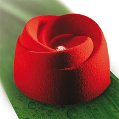 Pavoni Px039 Bocciolo Silikon Kalıp, 40x60 cm - 2