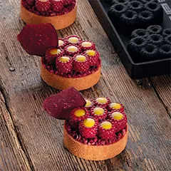 Pavoni TOP23 Mini Scarlet Silikon Kalıp, 30x17,5 cm - Pavoni (1)