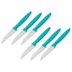 Pirge Pure Line Meyve Bıçağı Seti, 6 adet x 9 cm, Turkuaz - Pirge