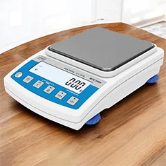 Radwag WTC 2000 Precision Scale, 2000 g, 0.1 g Precision - 2
