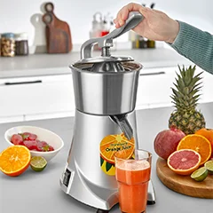 Remta PS10(L) Luxury Orange Juicer, Stainless Steel, 180 W, 28x21.2x42.4 cm - 3
