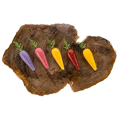 Silikomart Carota 20 Silikon Kalıp - 2