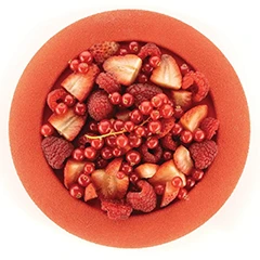 Silikomart Dot Silikon Kalıp, 20 cm - 3