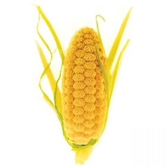 Silikomart Pannocchia 20 Silikon Kalıp - 2