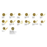 Sirman Concerto 5 & Sirpasta Tagliatelle Pasta Mold - Sirman