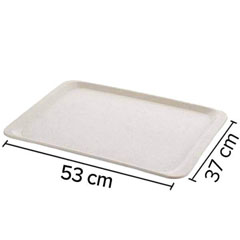 Thermoset Tepsi 53x37 cm Beyaz Parlak - 2