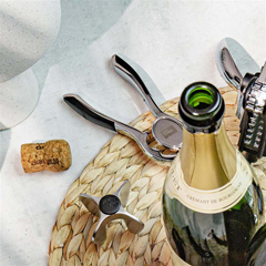 Vacu Vin Şampanya Şişe Açacağı, Gümüş, Kutulu - 2