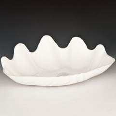 Zicco Display Tray, Polycarbonate, Oyster Model, 38x27x5 cm, White - Zicco